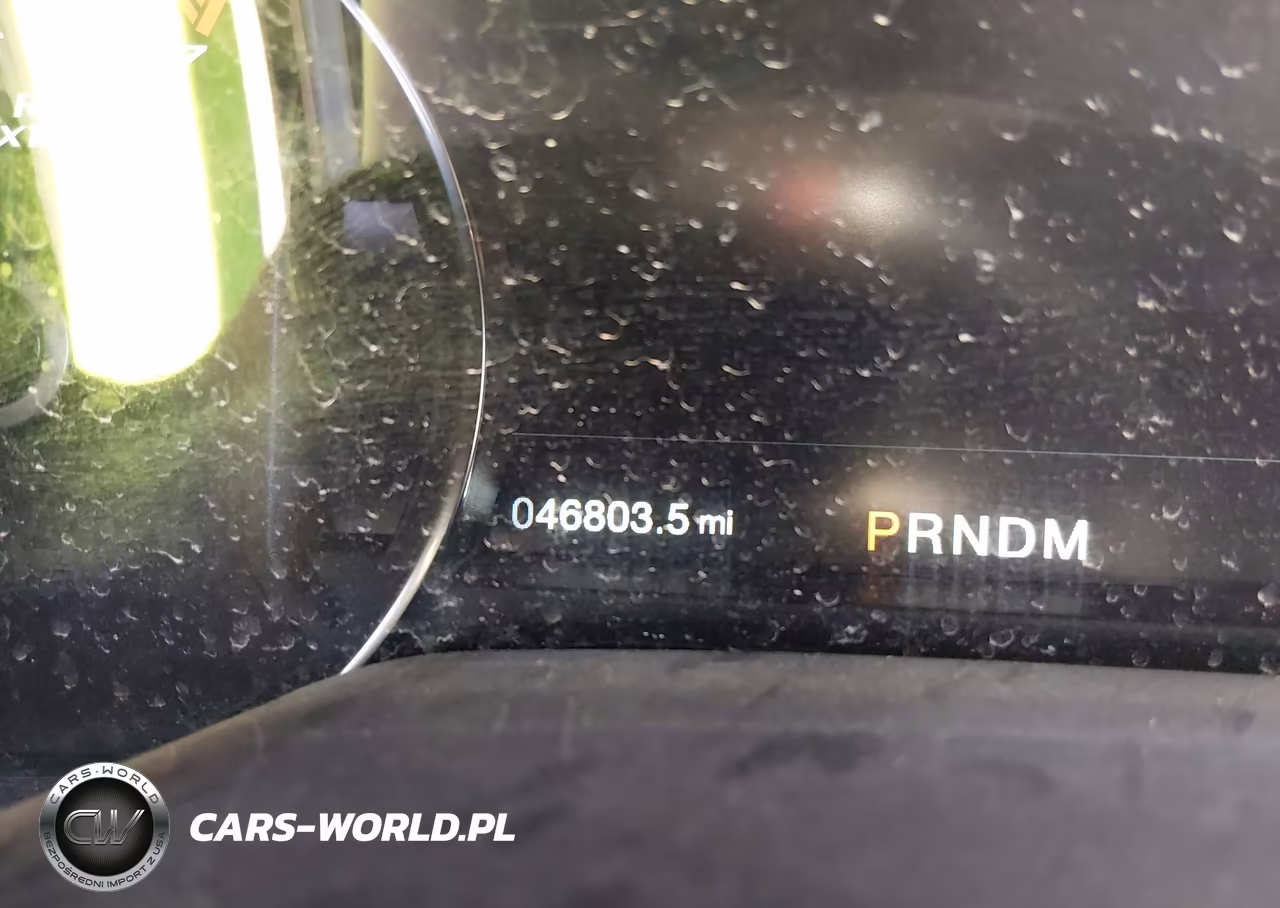 2019 Ford F-150 Raptor VIN:1FTFW1RG3KFB03444 - 15