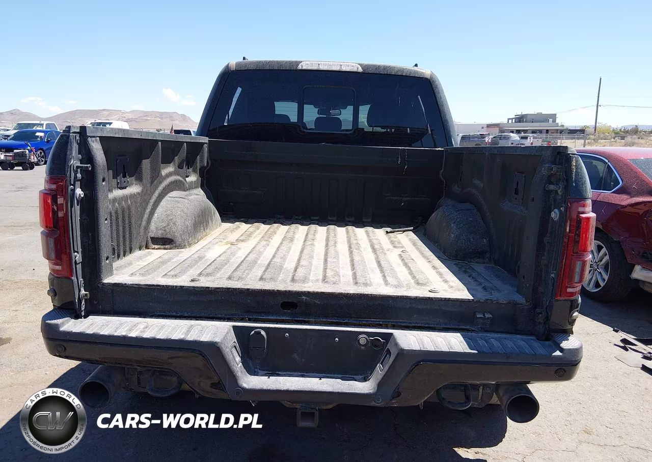 2019 Ford F-150 Raptor VIN:1FTFW1RG3KFB03444 - 16
