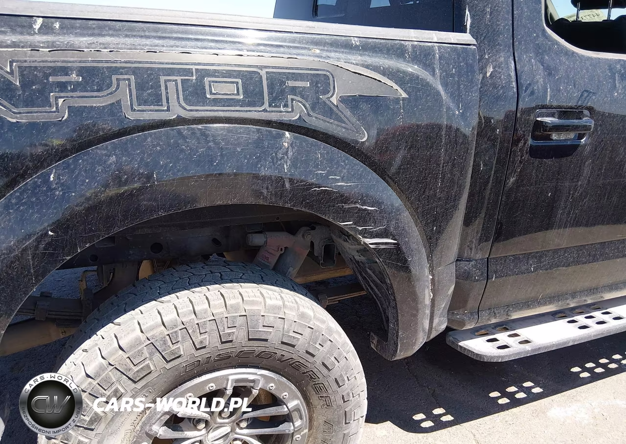 2019 Ford F-150 Raptor VIN:1FTFW1RG3KFB03444 - 17
