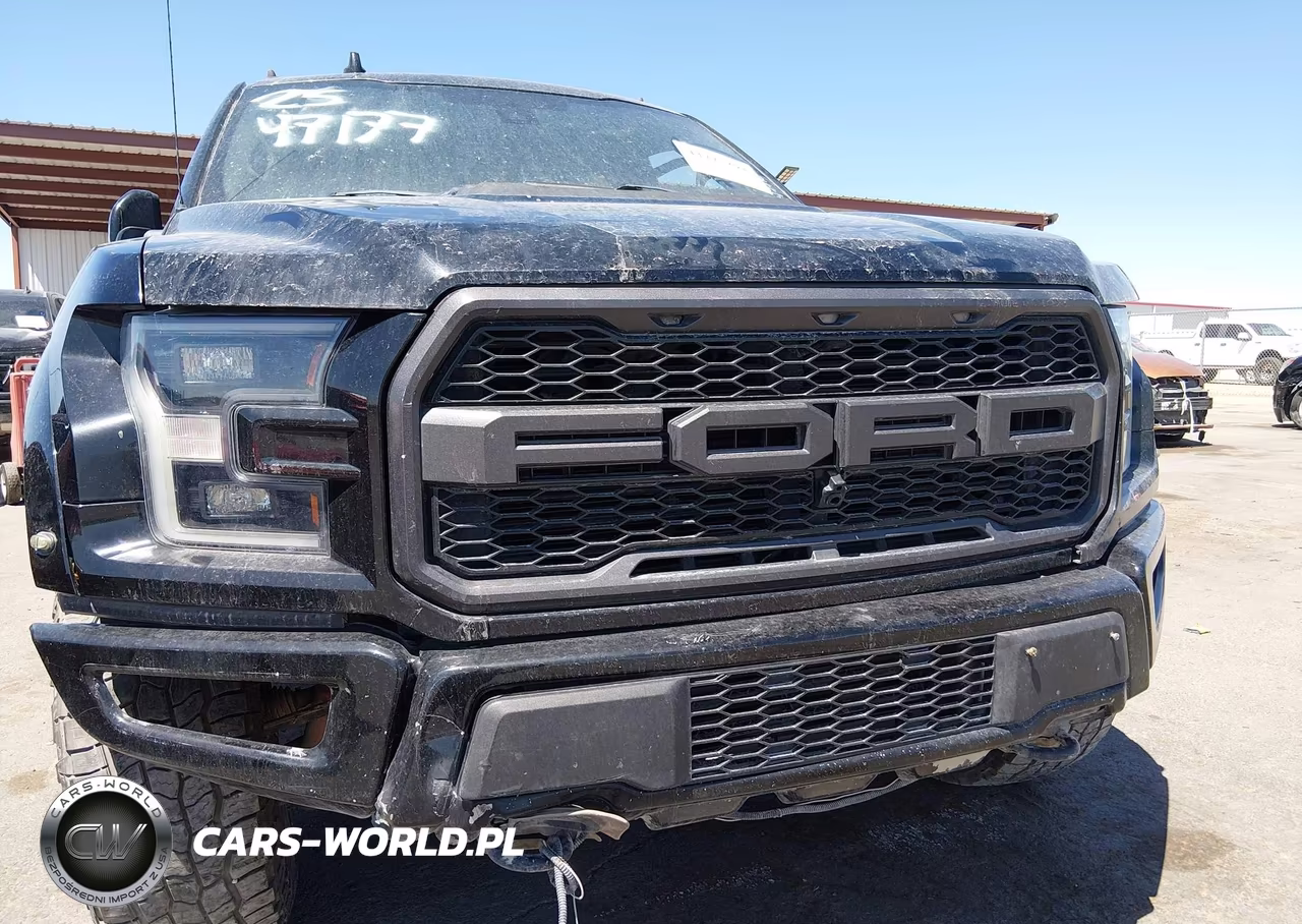 2019 Ford F-150 Raptor VIN:1FTFW1RG3KFB03444 - 18