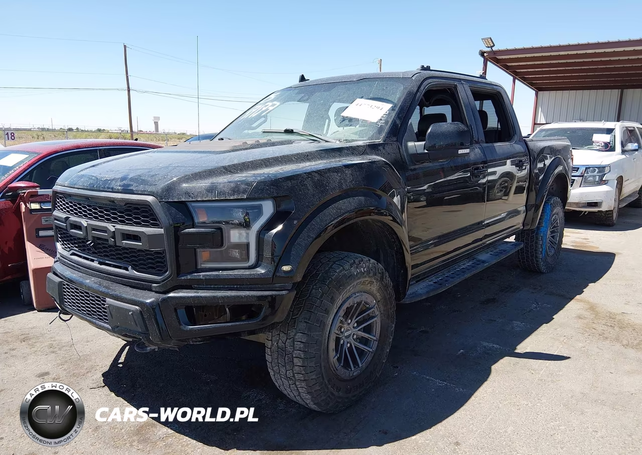 2019 Ford F-150 Raptor VIN:1FTFW1RG3KFB03444 - 2