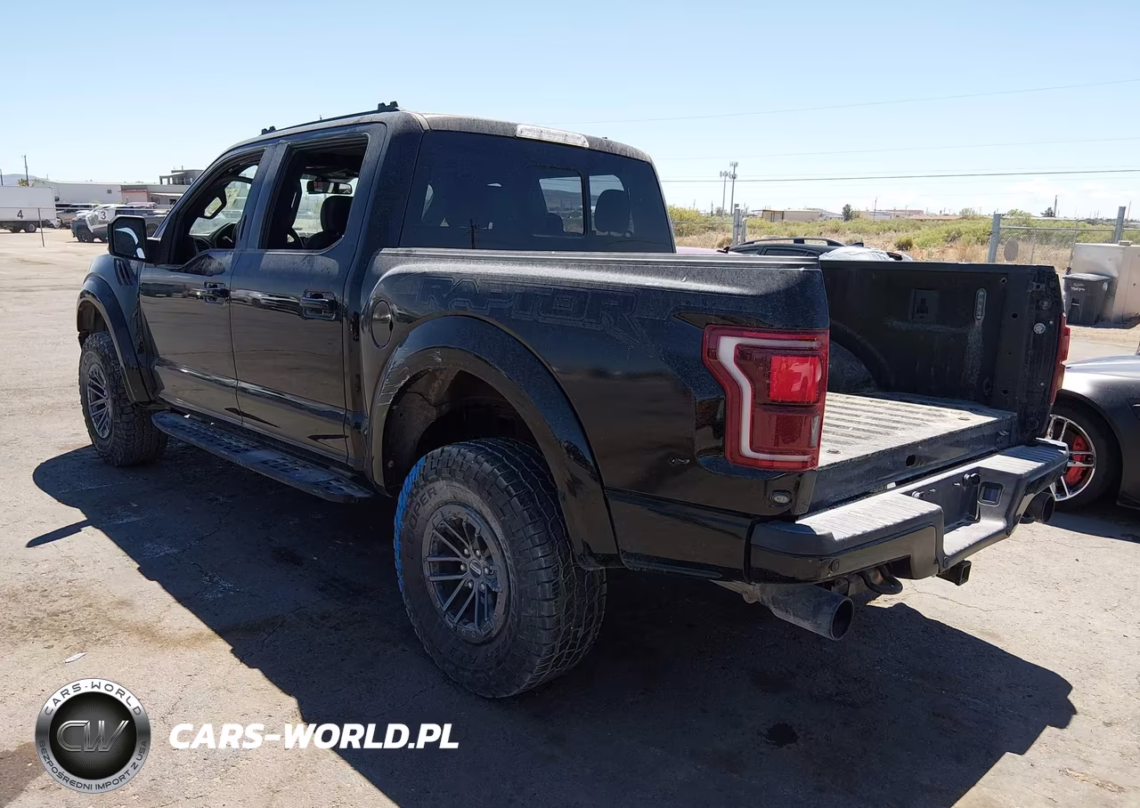 2019 Ford F-150 Raptor VIN:1FTFW1RG3KFB03444 - 3