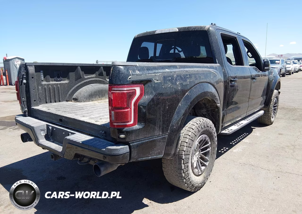 2019 Ford F-150 Raptor VIN:1FTFW1RG3KFB03444 - 4
