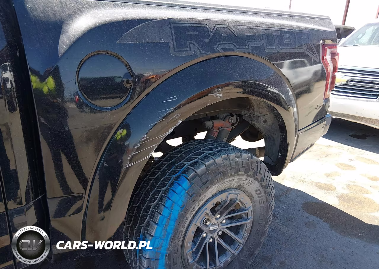 2019 Ford F-150 Raptor VIN:1FTFW1RG3KFB03444 - 6