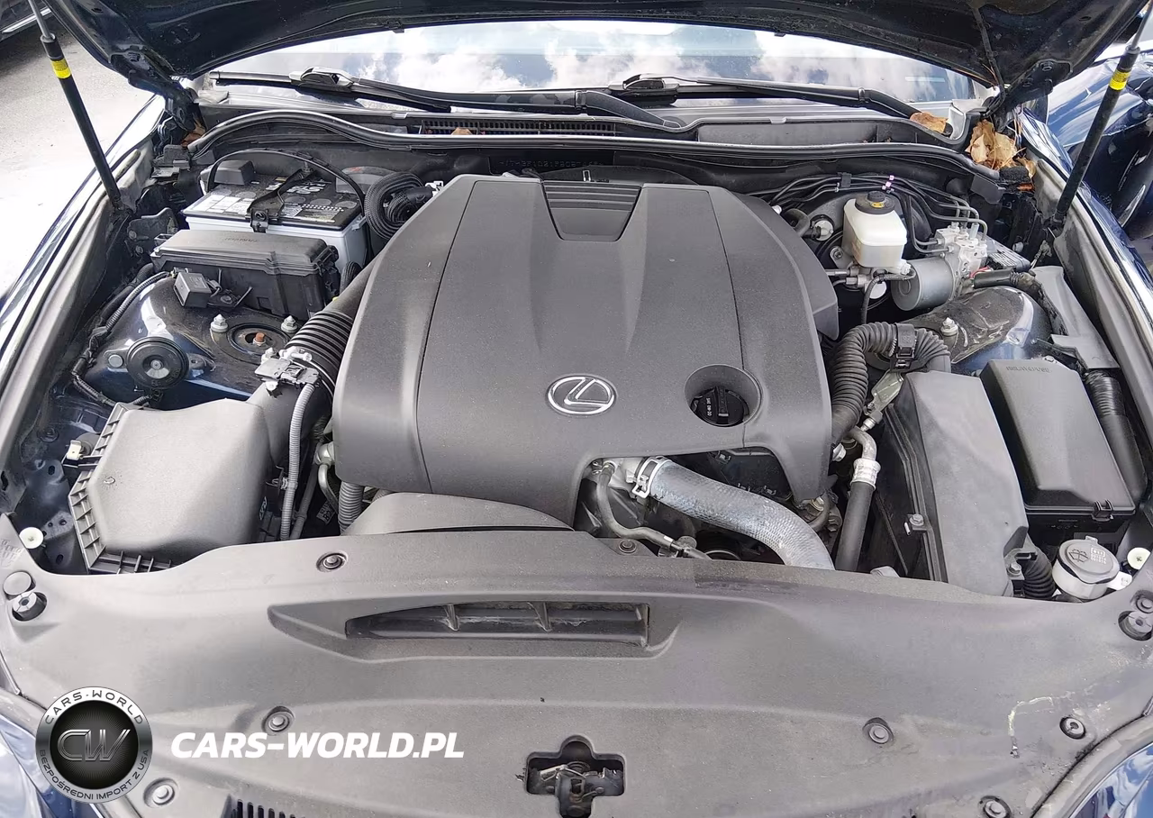 2015 Lexus Is 250 VIN:JTHBF1D21F5057469 - 10