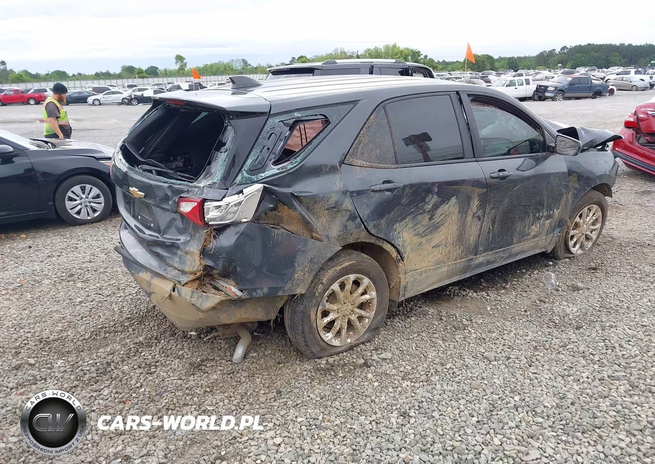2020 Chevrolet Equinox Fwd Ls VIN:2GNAXHEV0L6278841 - 4