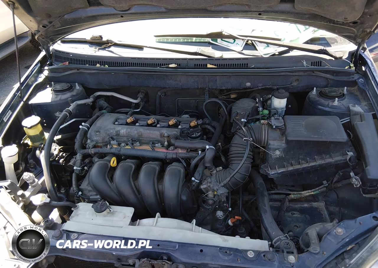 2004 Toyota Corolla S VIN:1NXBR32EX4Z288323 - 10
