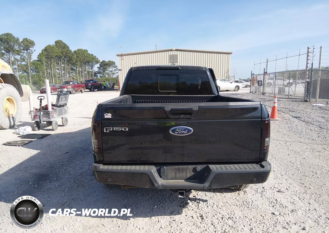 2016 Ford F-150 Xlt VIN:1FTEX1CPXGFC12721 - 16