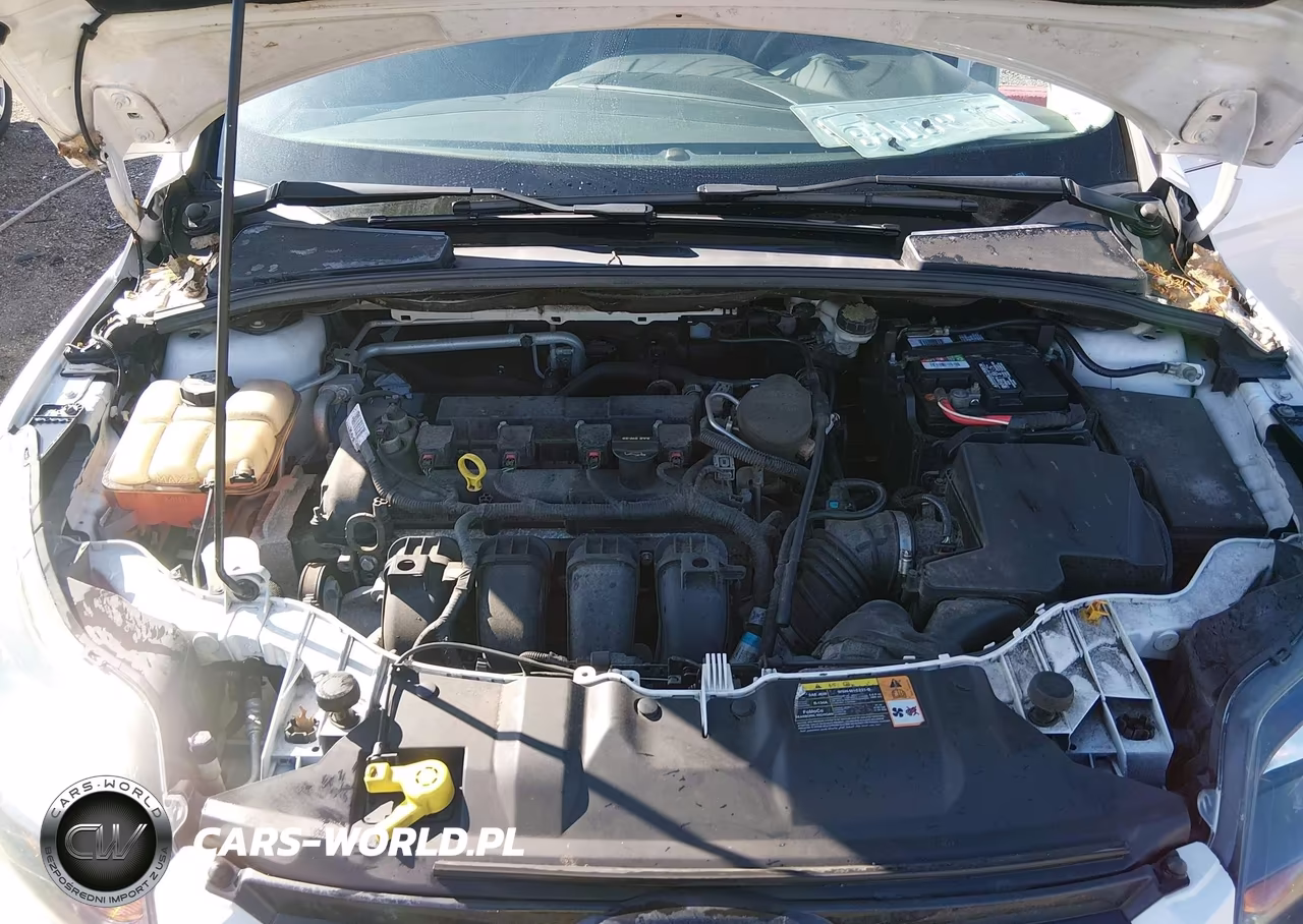 2013 Ford Focus Titanium VIN:1FADP3N21DL245201 - 10