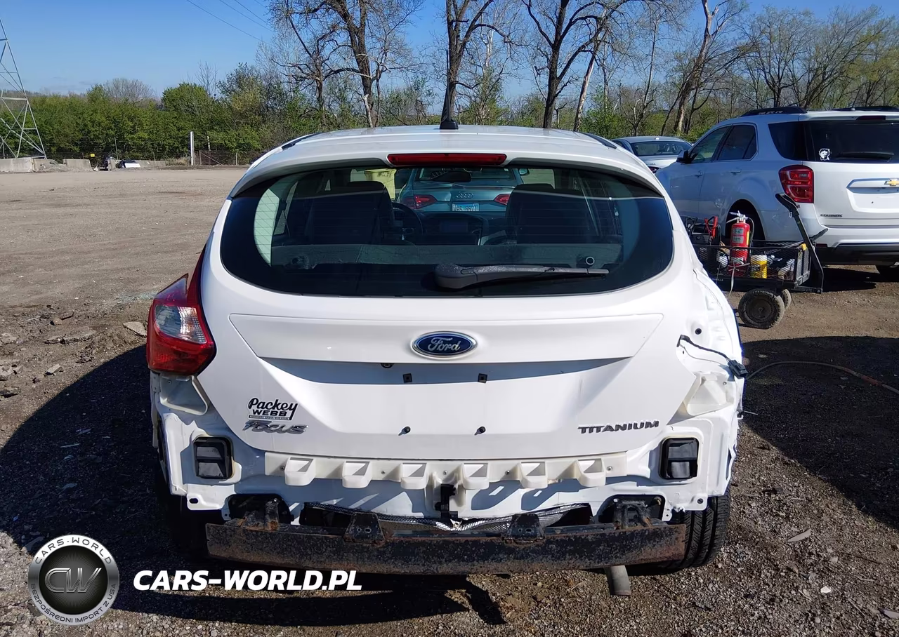 2013 Ford Focus Titanium VIN:1FADP3N21DL245201 - 17