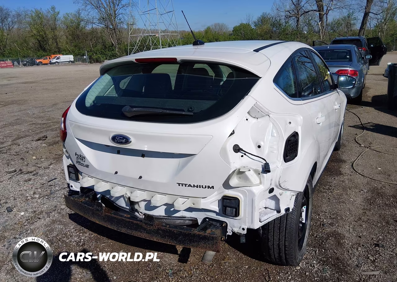 2013 Ford Focus Titanium VIN:1FADP3N21DL245201 - 6