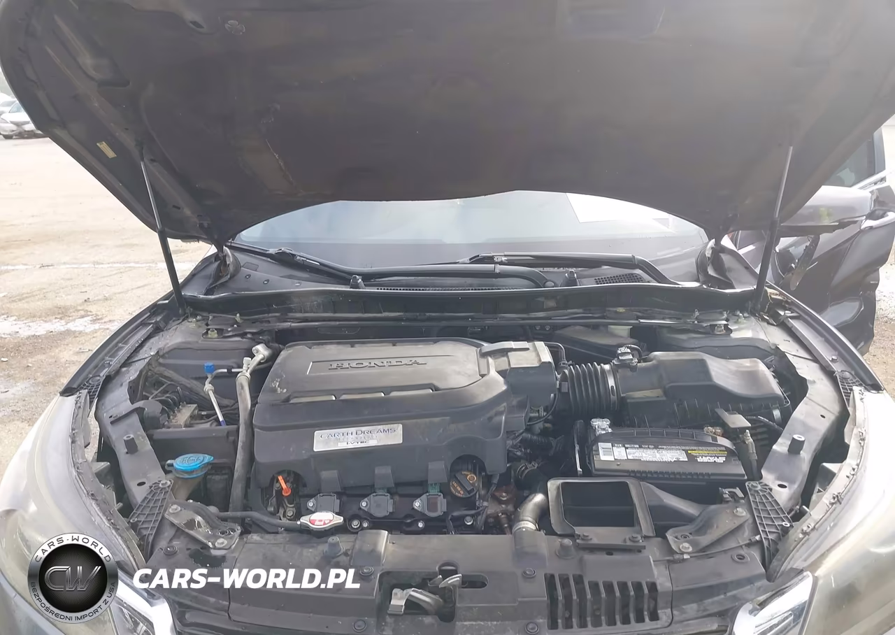 2014 Honda Accord Ex-L V-6 VIN:1HGCR3F89EA018615 - 10