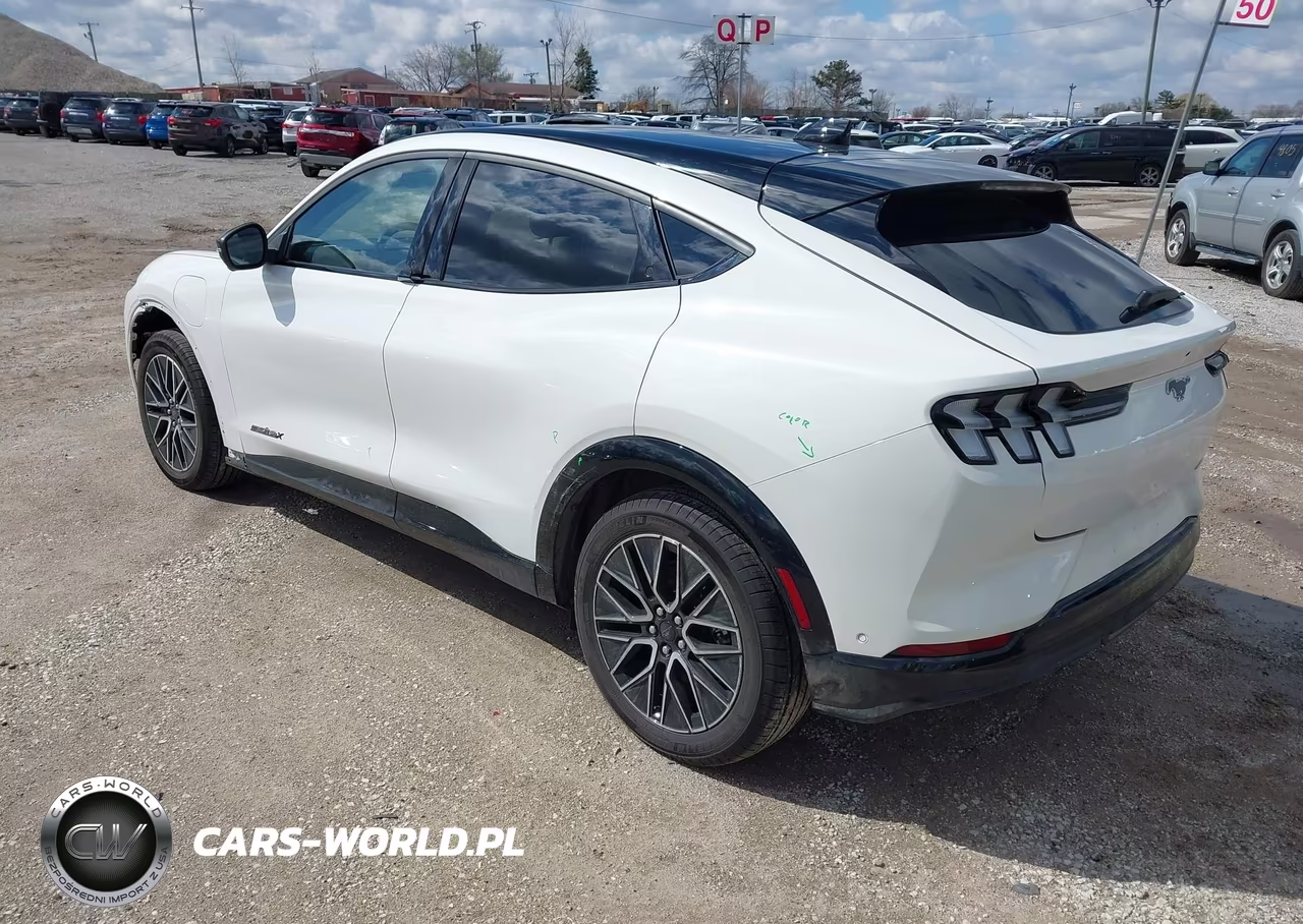 2024 Ford Mustang Mach-E Premium VIN:3FMTK3SU4RMA37373 - 3