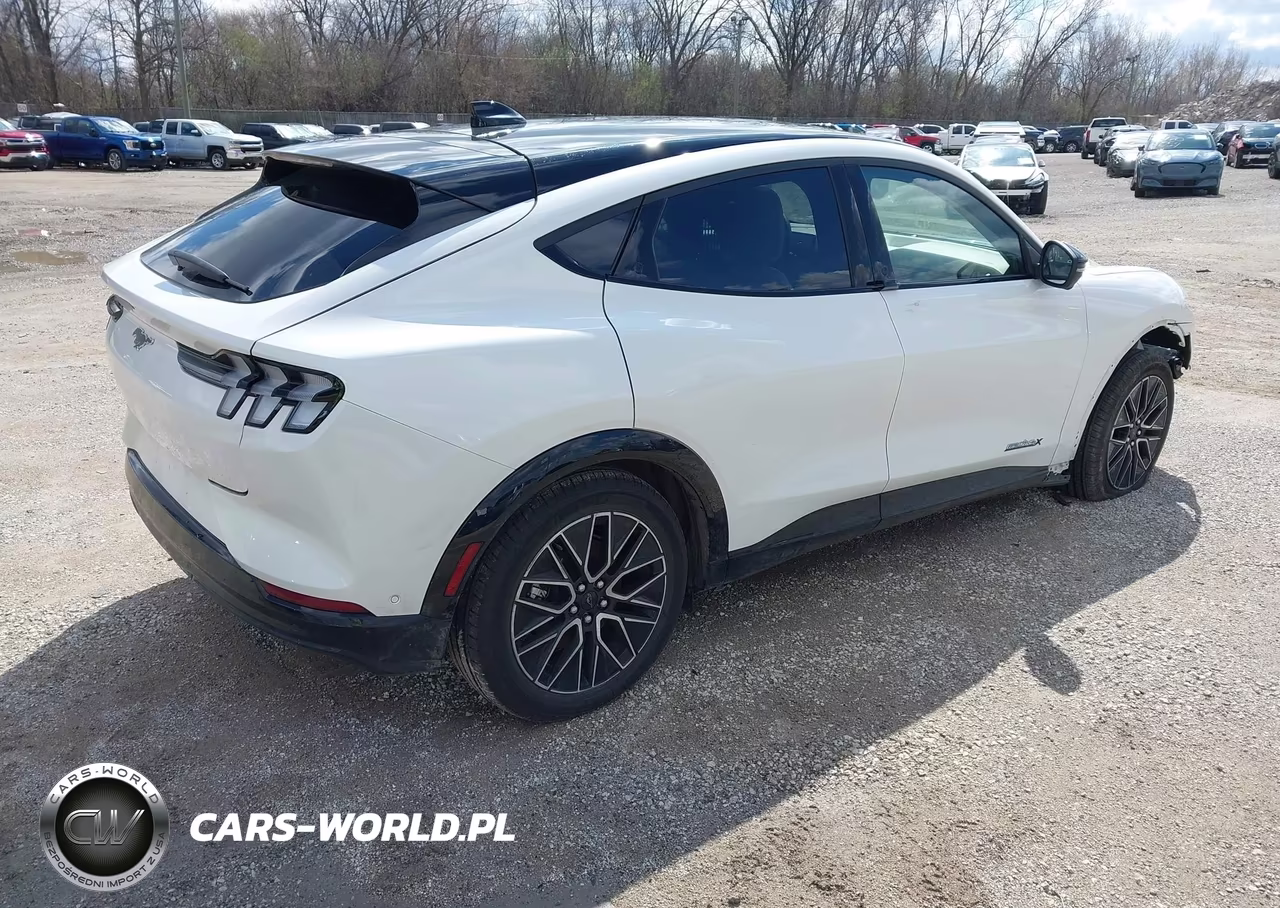 2024 Ford Mustang Mach-E Premium VIN:3FMTK3SU4RMA37373 - 4