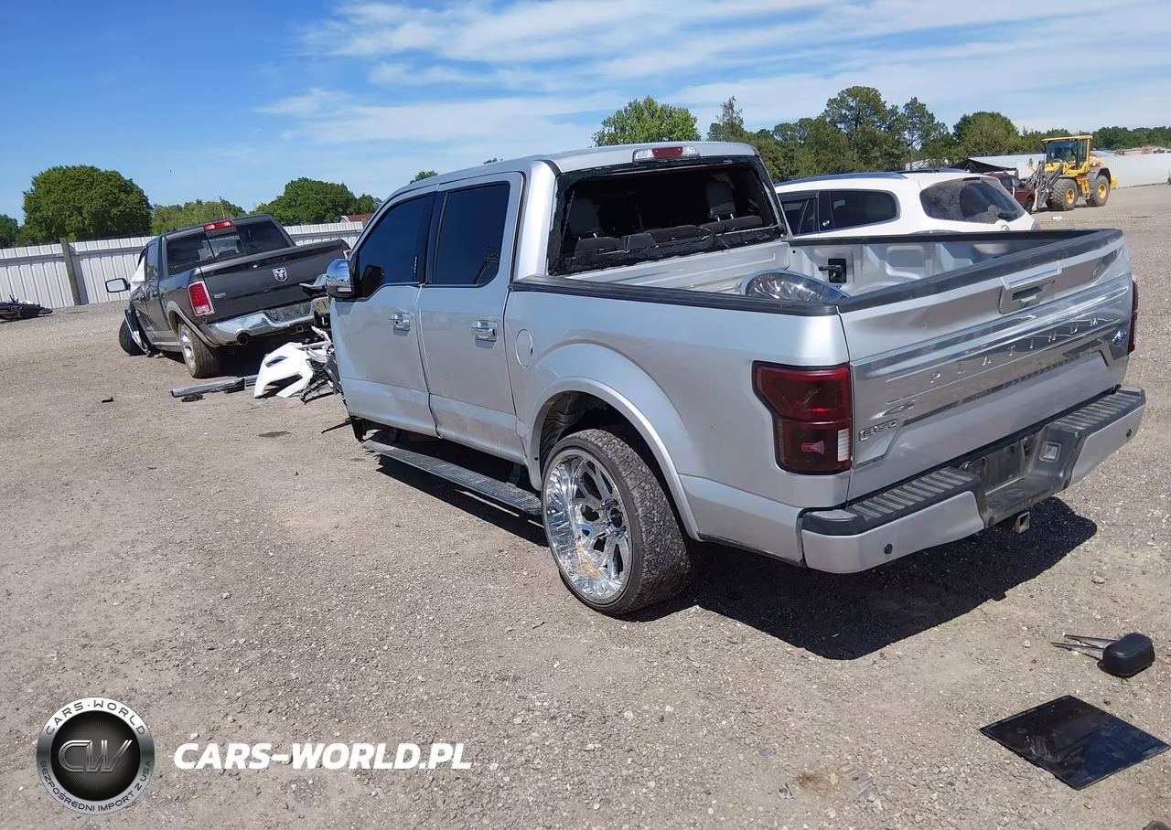 2018 Ford F-150 Platinum VIN:1FTEW1E52JFB95533 - 3