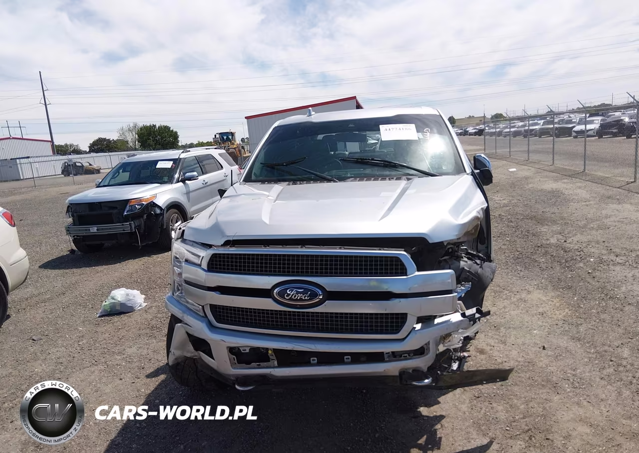 2018 Ford F-150 Platinum VIN:1FTEW1E52JFB95533 - 6
