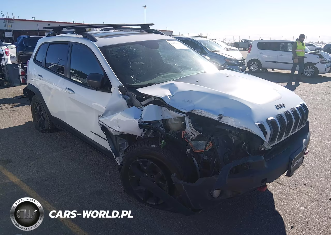 2016 Jeep Cherokee Trailhawk VIN:1C4PJMBS3GW360419 - 6