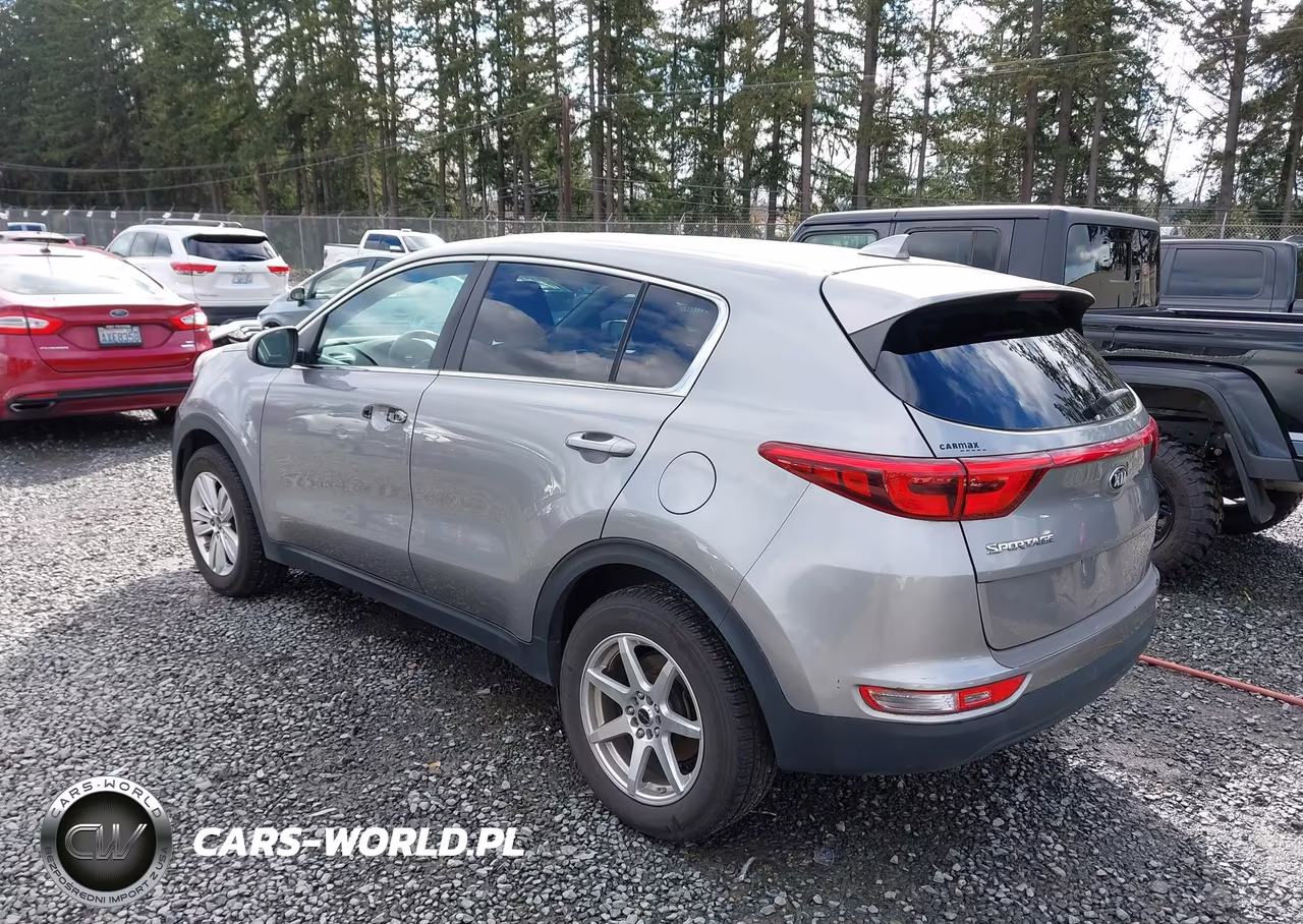2019 Kia Sportage Lx VIN:KNDPMCACXK7592398 - 3