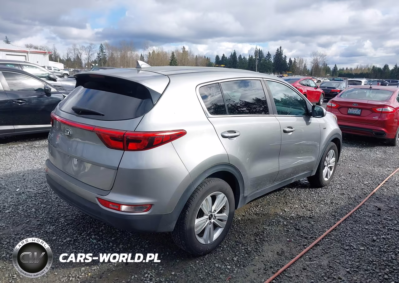 2019 Kia Sportage Lx VIN:KNDPMCACXK7592398 - 4