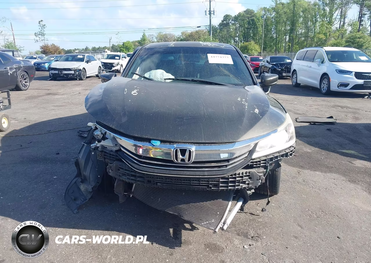 2013 Honda Accord Lx VIN:1HGCR2F31DA256410 - 13