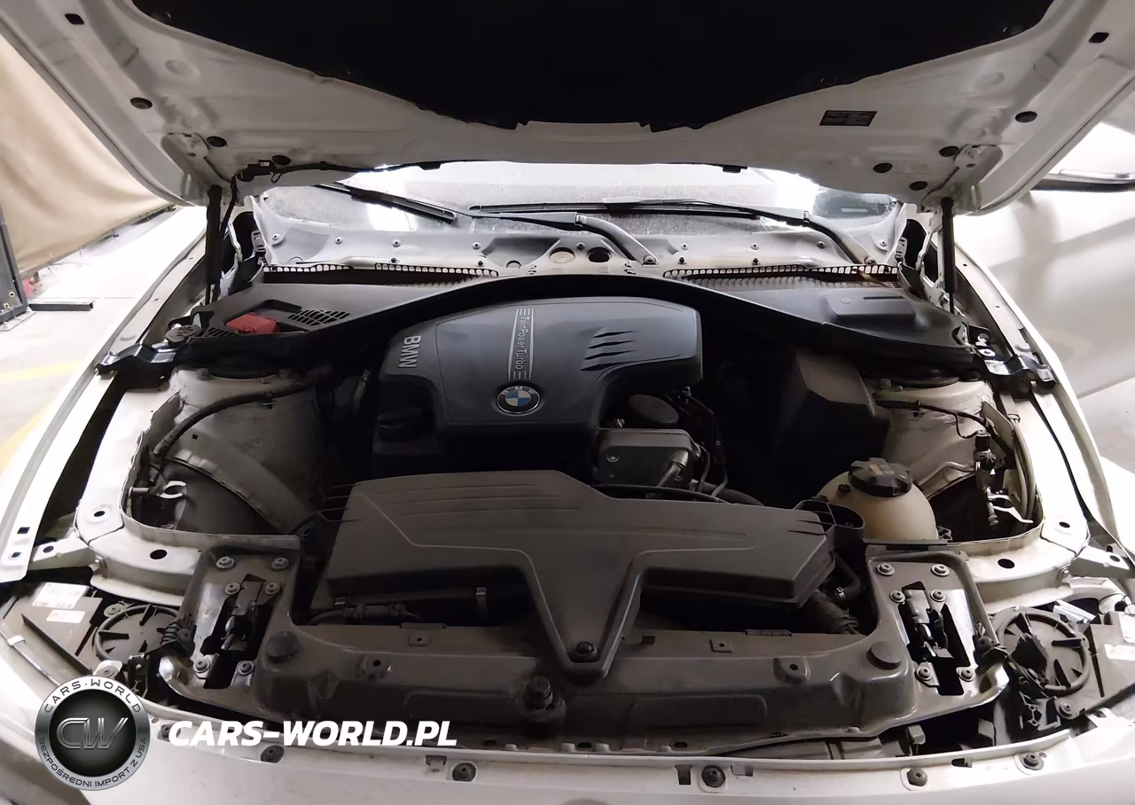 2015 BMW 428I VIN:WBA3N7C56FK222423 - 10