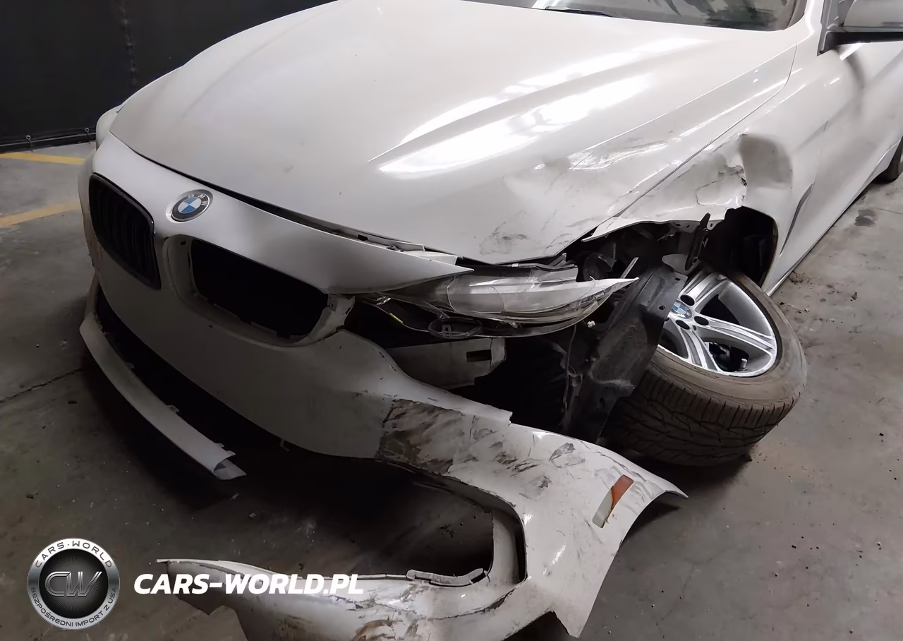 2015 BMW 428I VIN:WBA3N7C56FK222423 - 6
