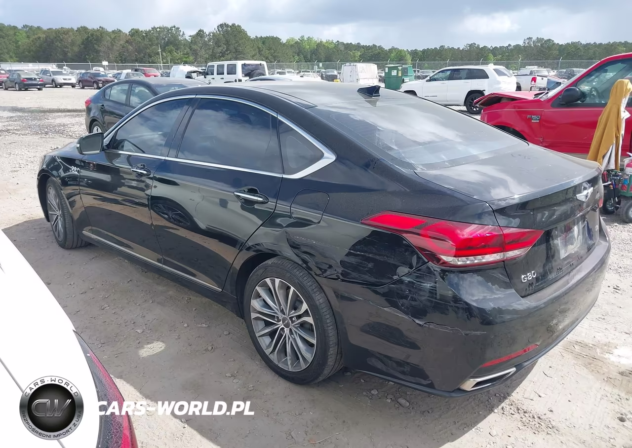 2017 Genesis G80 3.8 VIN:KMHGN4JE8HU178224 - 14