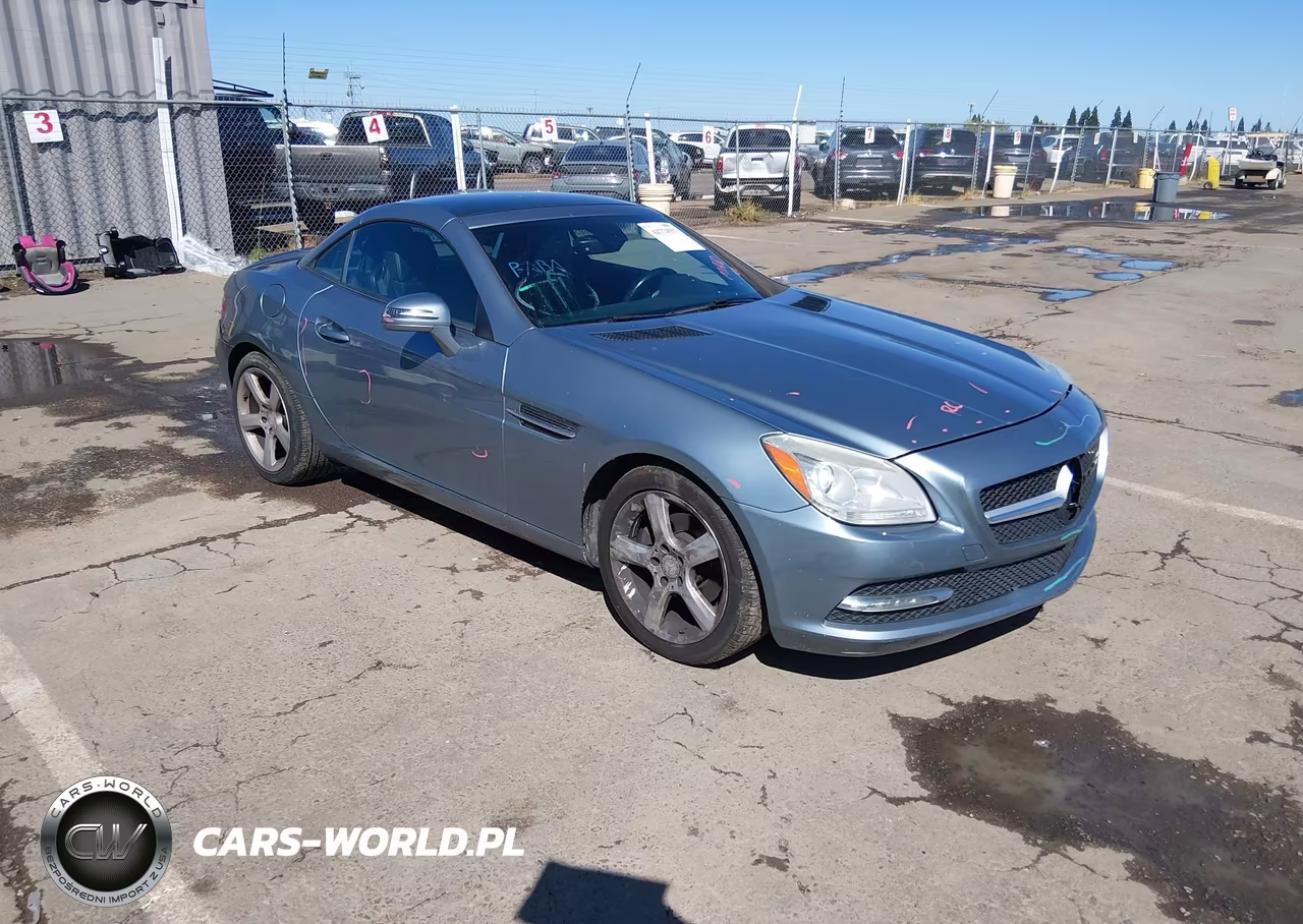 2013 Mercedes-Benz Slk 250