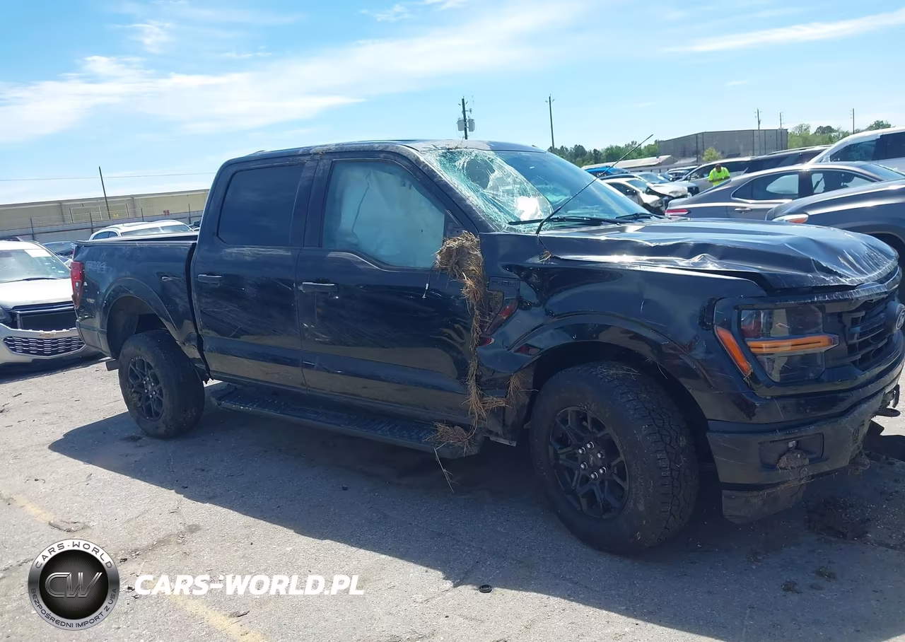 2025 Ford F-150 Xlt VIN:1FTFW3L54SFC53758 - 13