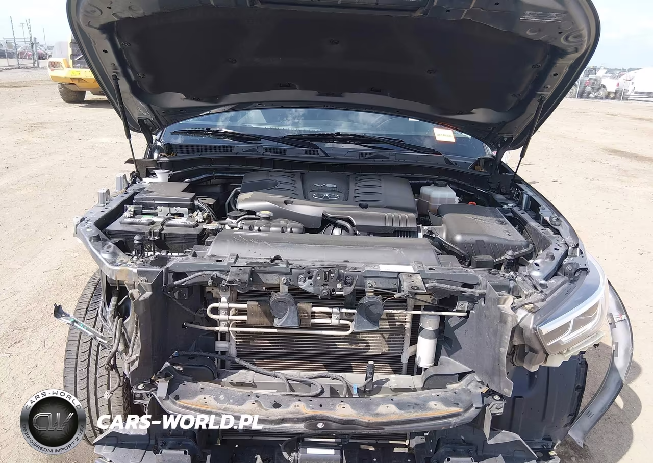 2018 Infiniti Qx80 VIN:JN8AZ2NE7J9191878 - 10