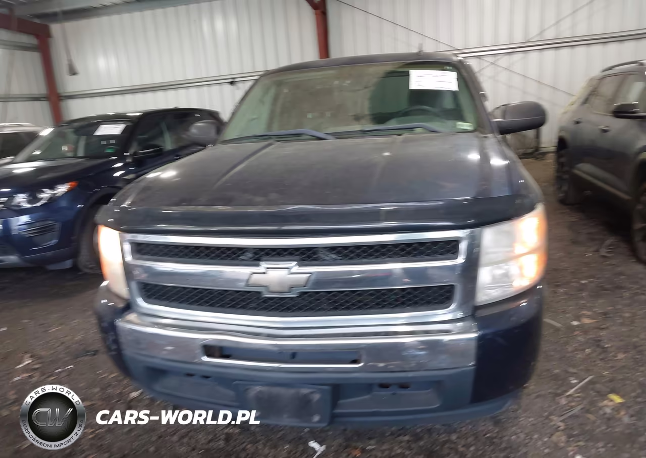2009 Chevrolet Silverado 1500 Work Truck VIN:1GCEC19X49Z159745 - 12