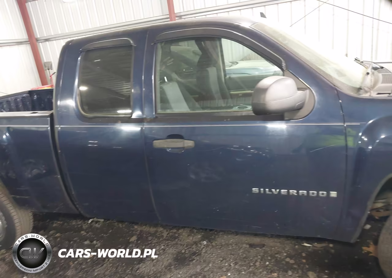2009 Chevrolet Silverado 1500 Work Truck VIN:1GCEC19X49Z159745 - 13