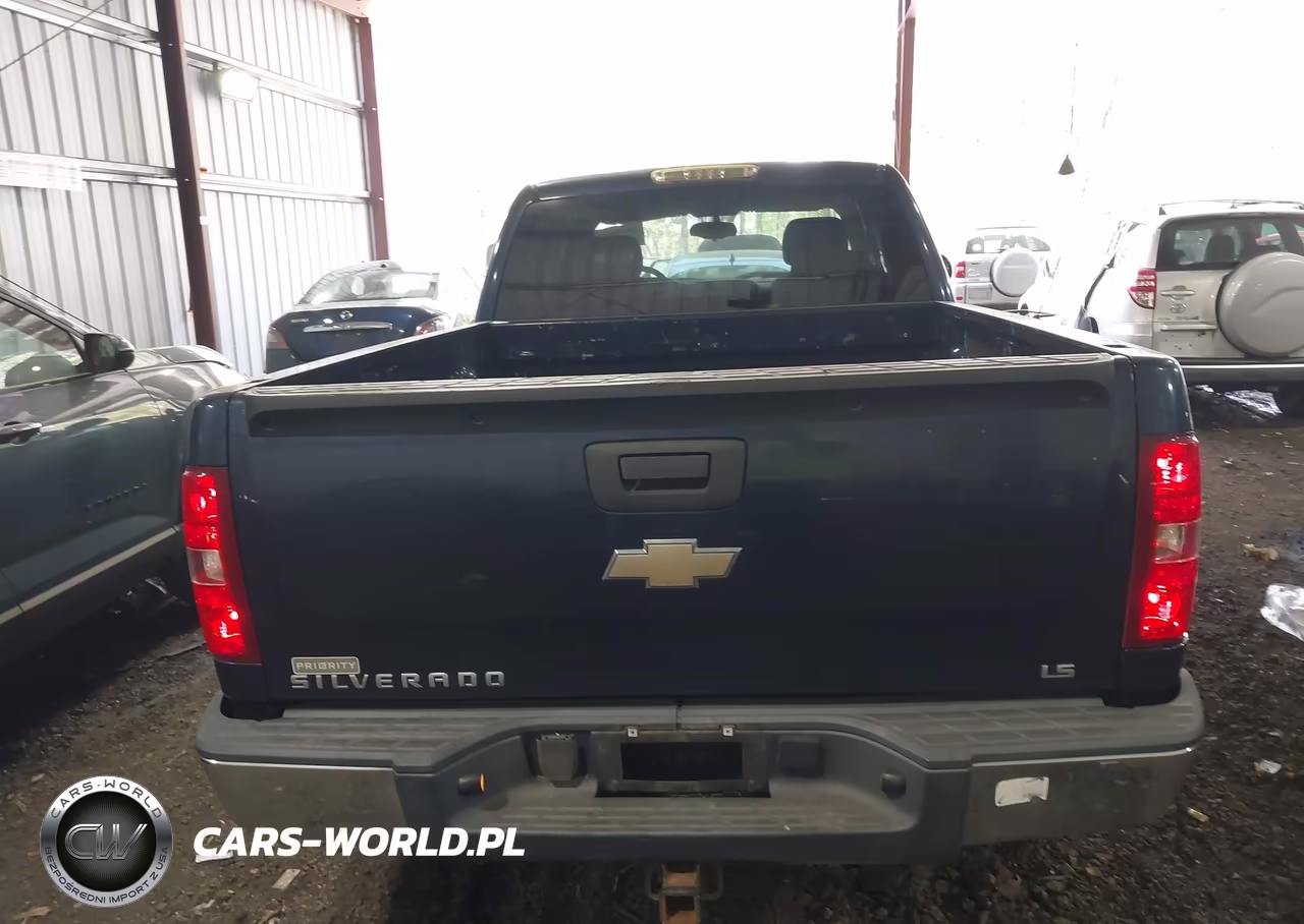 2009 Chevrolet Silverado 1500 Work Truck VIN:1GCEC19X49Z159745 - 16