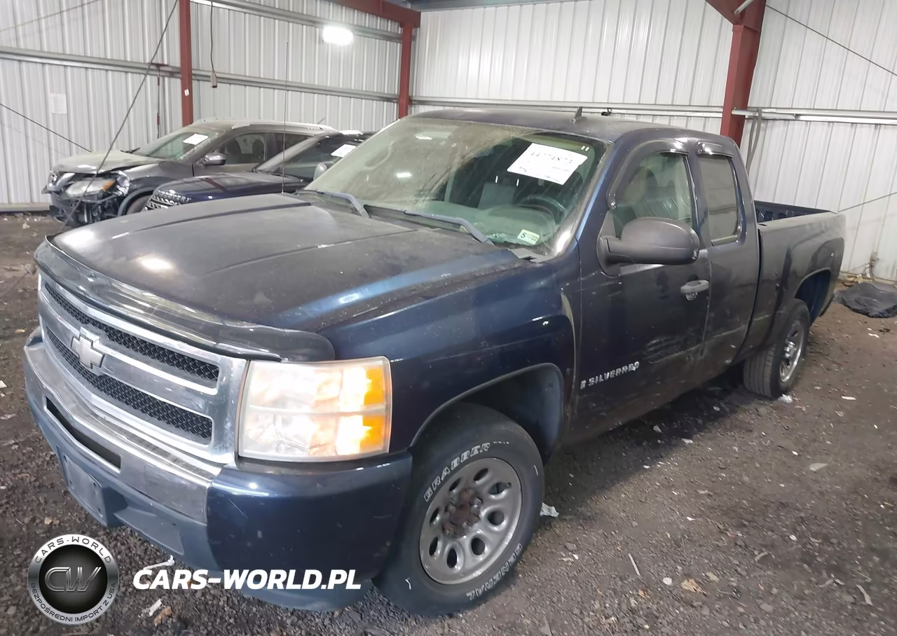 2009 Chevrolet Silverado 1500 Work Truck VIN:1GCEC19X49Z159745 - 2
