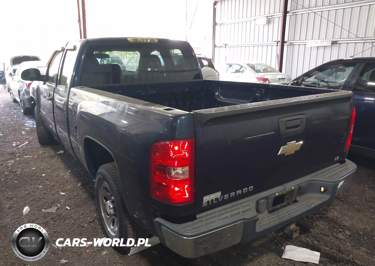 2009 Chevrolet Silverado 1500 Work Truck VIN:1GCEC19X49Z159745 - 3