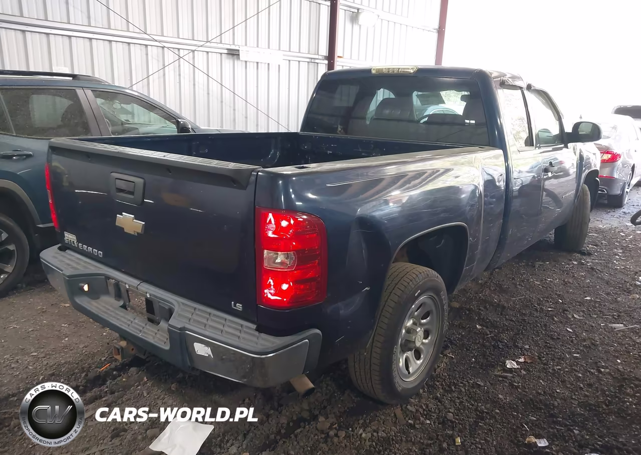 2009 Chevrolet Silverado 1500 Work Truck VIN:1GCEC19X49Z159745 - 4