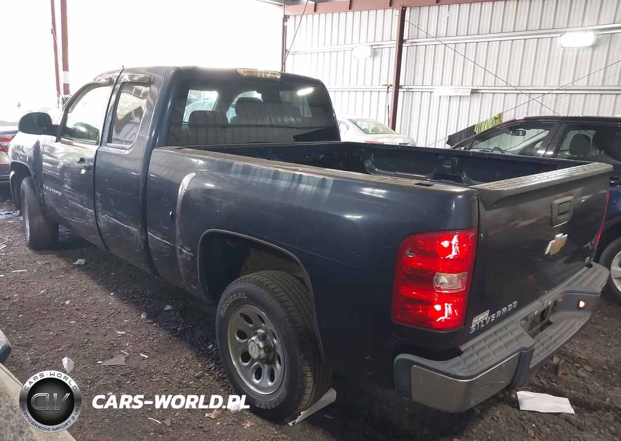 2009 Chevrolet Silverado 1500 Work Truck VIN:1GCEC19X49Z159745 - 6