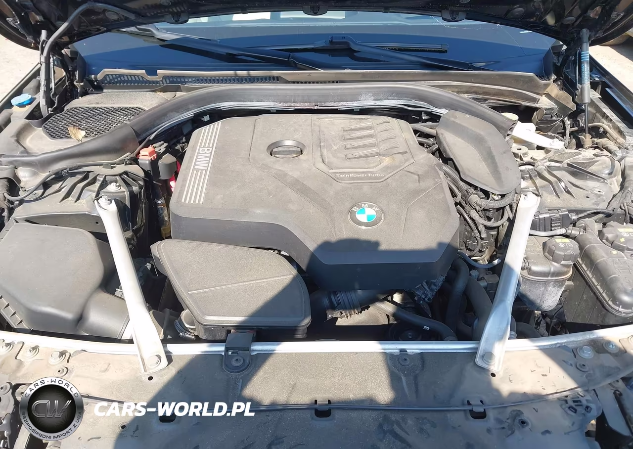 2020 BMW 530I VIN:WBAJR3C0XLCE52029 - 10