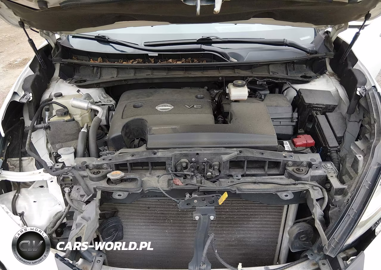 2019 Nissan Murano Platinum VIN:5N1AZ2MJXKN161949 - 10