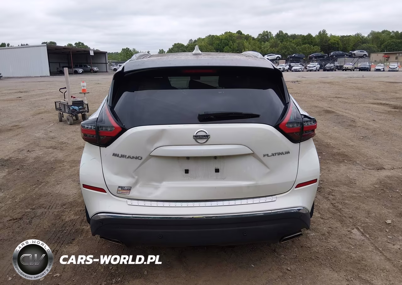 2019 Nissan Murano Platinum VIN:5N1AZ2MJXKN161949 - 16