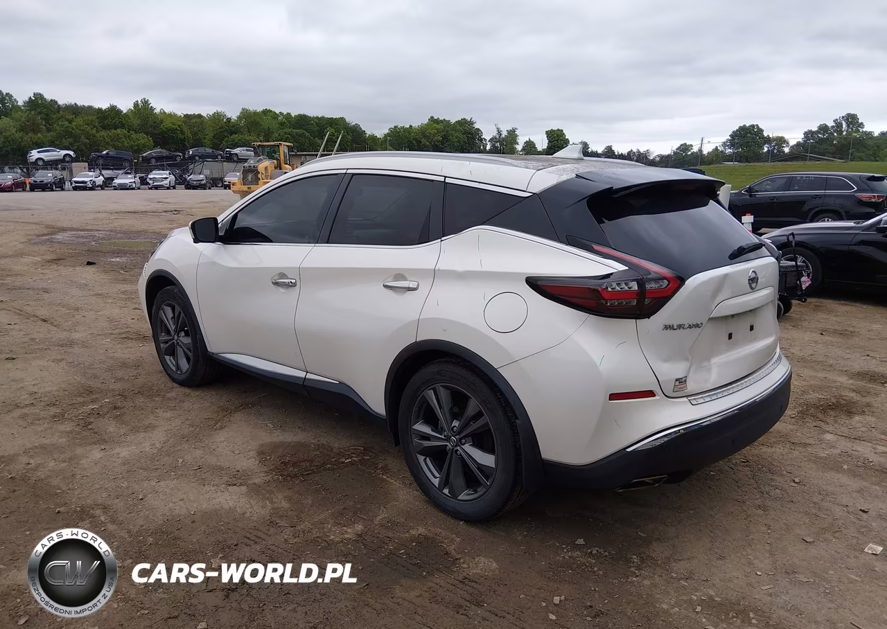 2019 Nissan Murano Platinum VIN:5N1AZ2MJXKN161949 - 3
