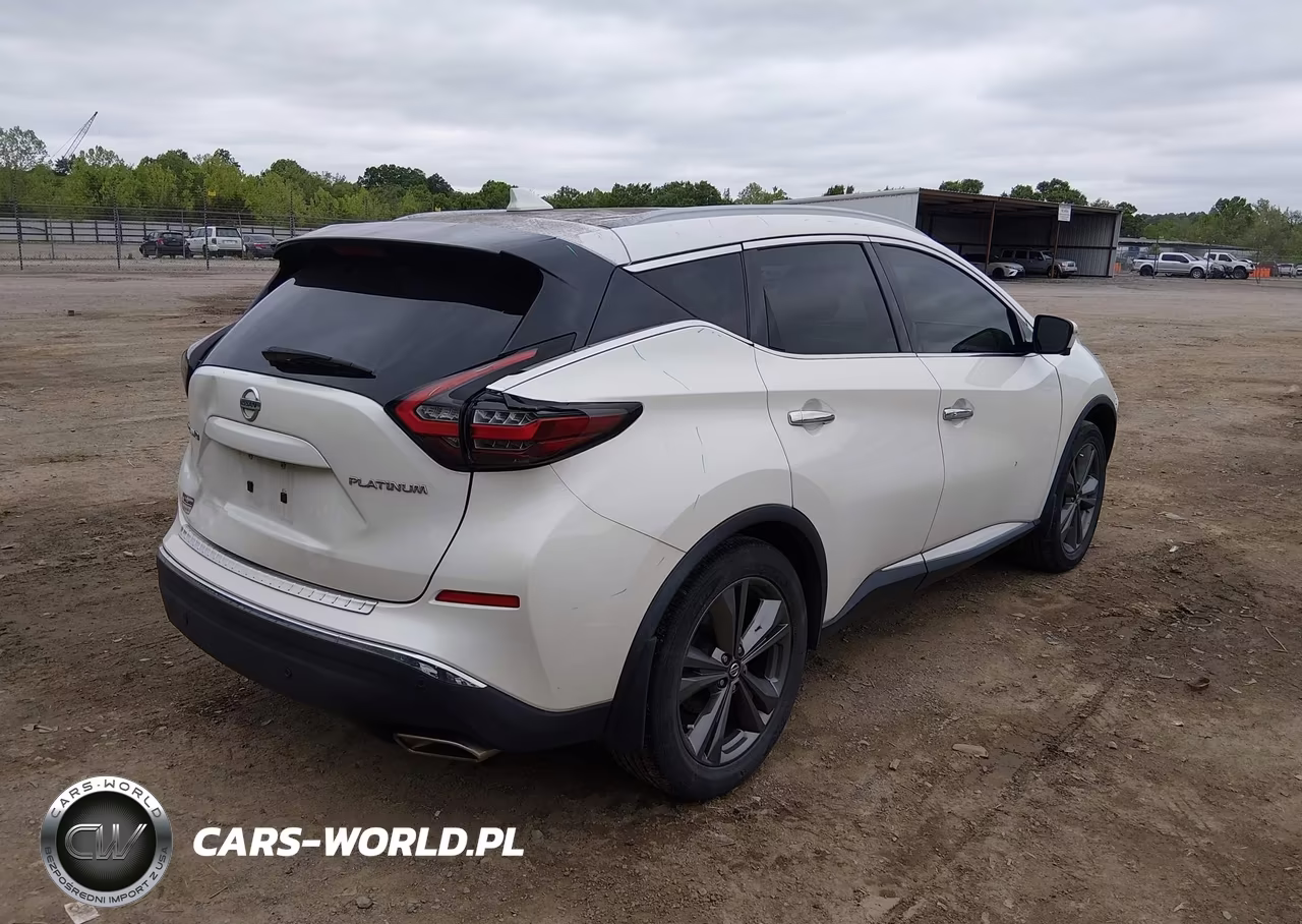 2019 Nissan Murano Platinum VIN:5N1AZ2MJXKN161949 - 4
