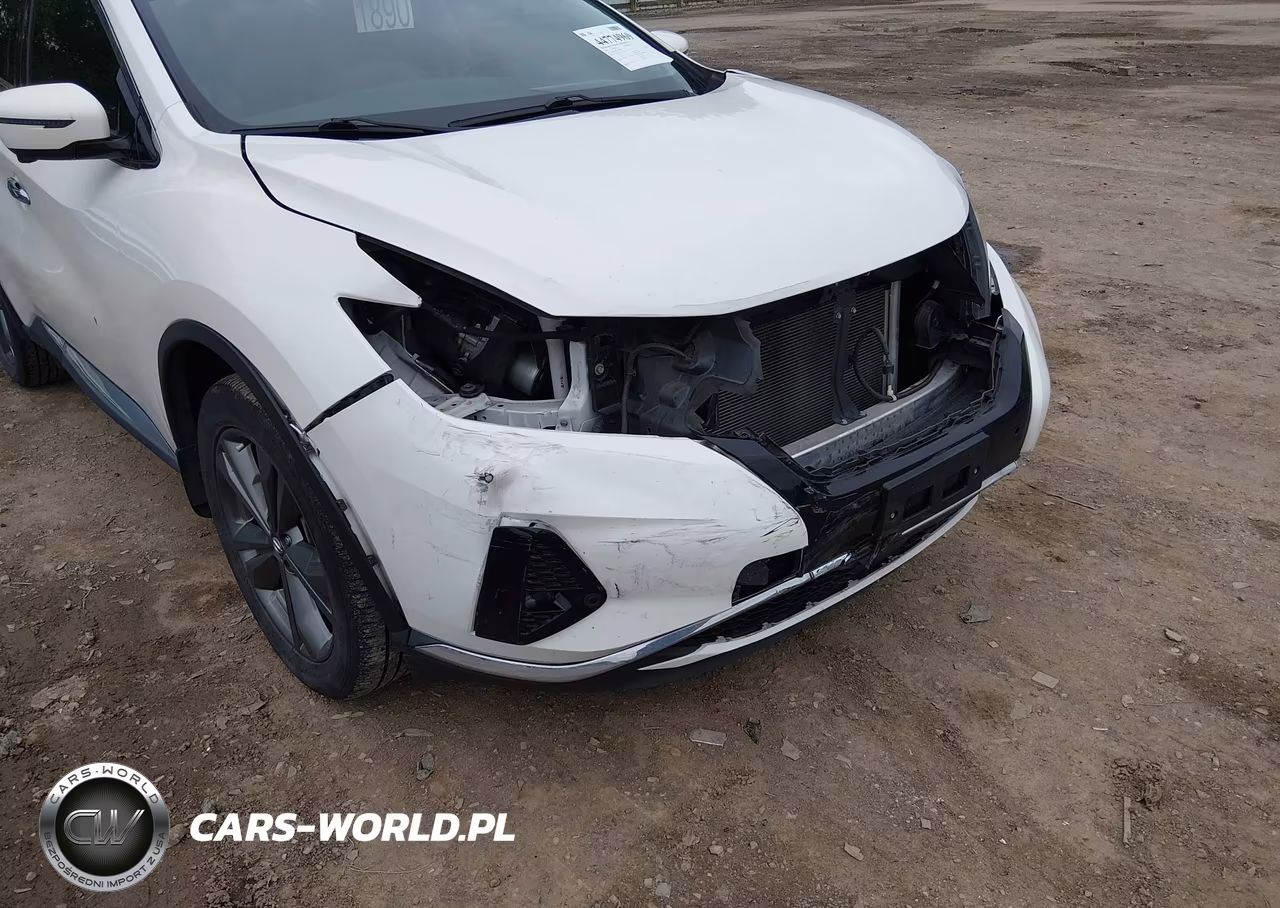 2019 Nissan Murano Platinum VIN:5N1AZ2MJXKN161949 - 6