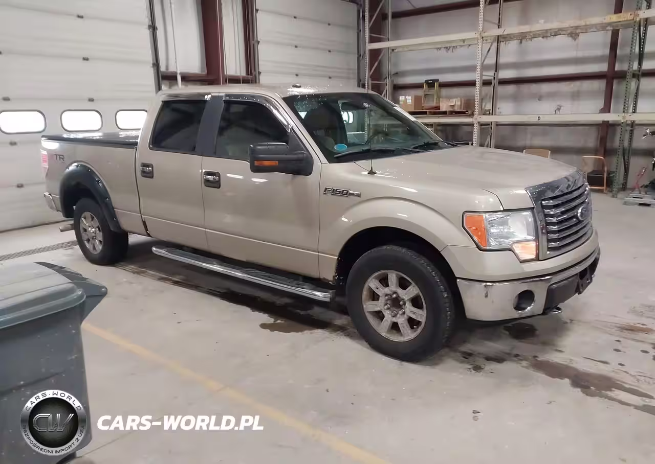2010 Ford F-150 Xlt
