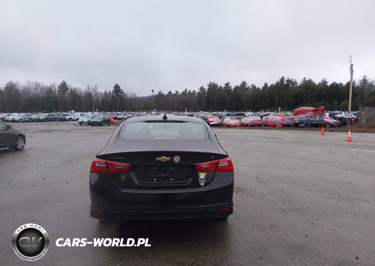 2023 Chevrolet Malibu Fwd 1Lt VIN:1G1ZD5ST2PF215587 - 17