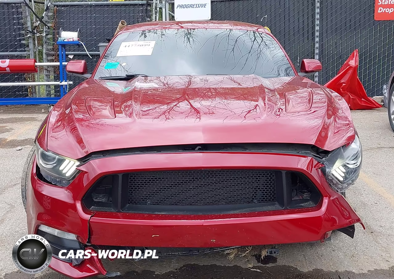 2015 Ford Mustang Gt VIN:1FA6P8CF5F5359088 - 13