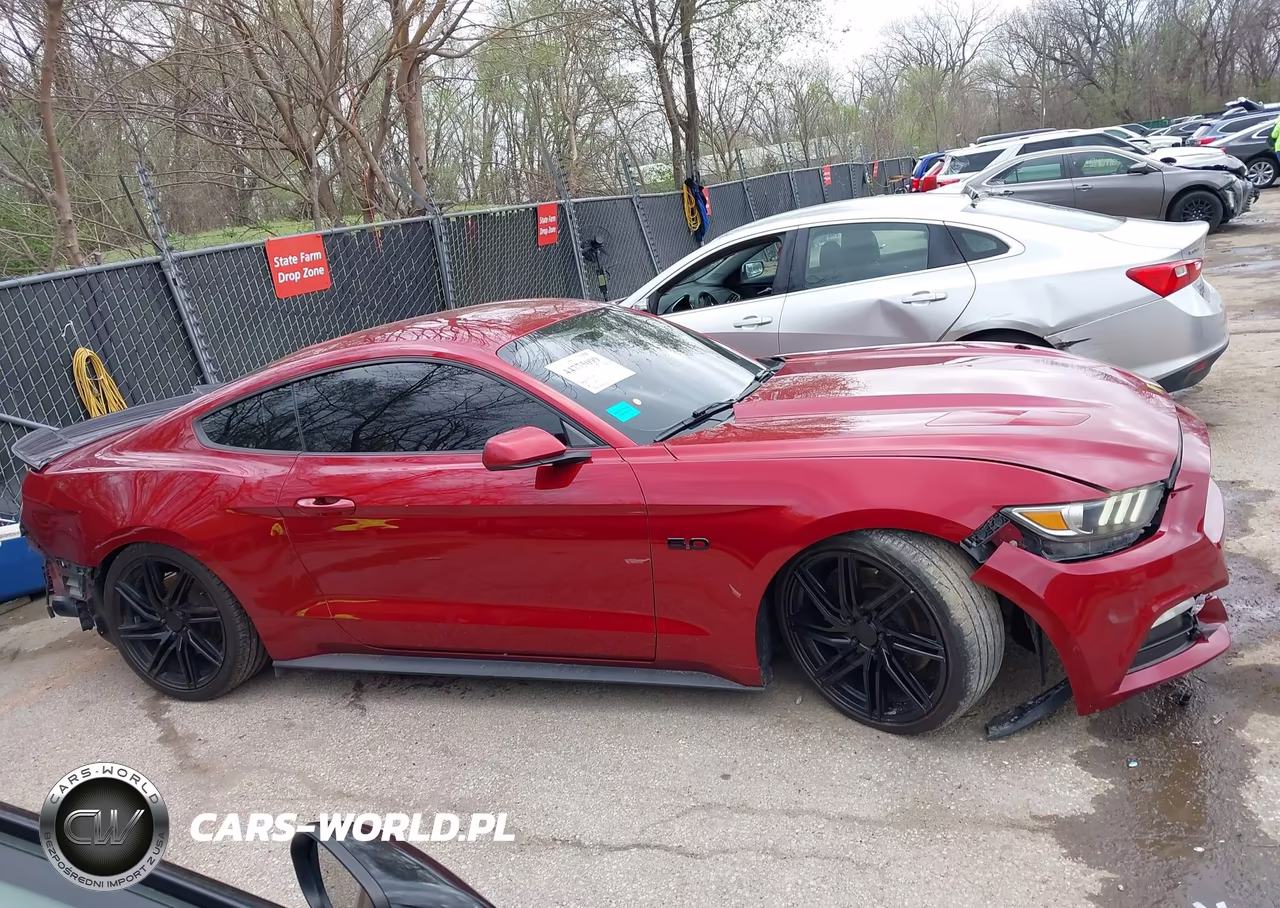 2015 Ford Mustang Gt VIN:1FA6P8CF5F5359088 - 14