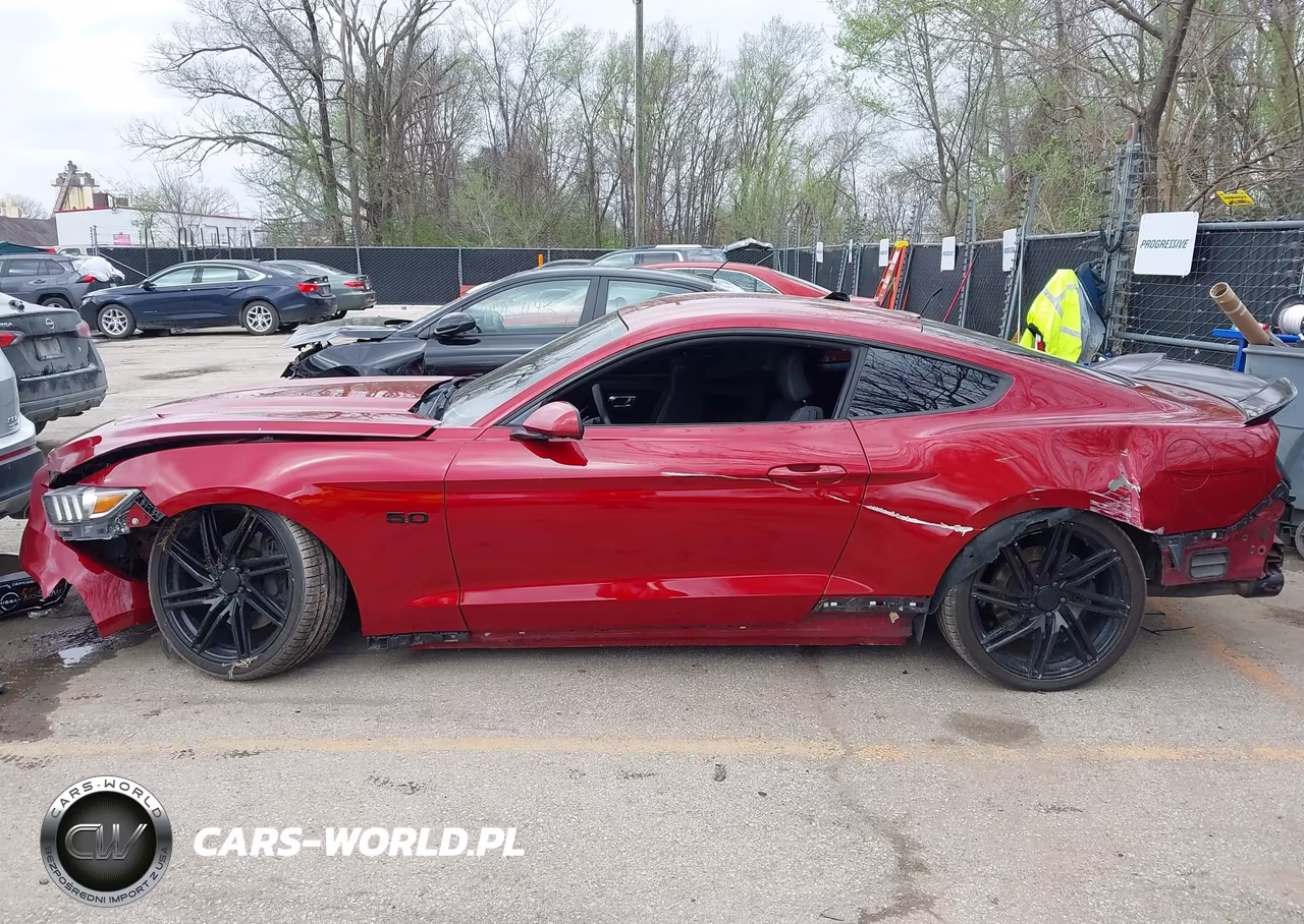 2015 Ford Mustang Gt VIN:1FA6P8CF5F5359088 - 15