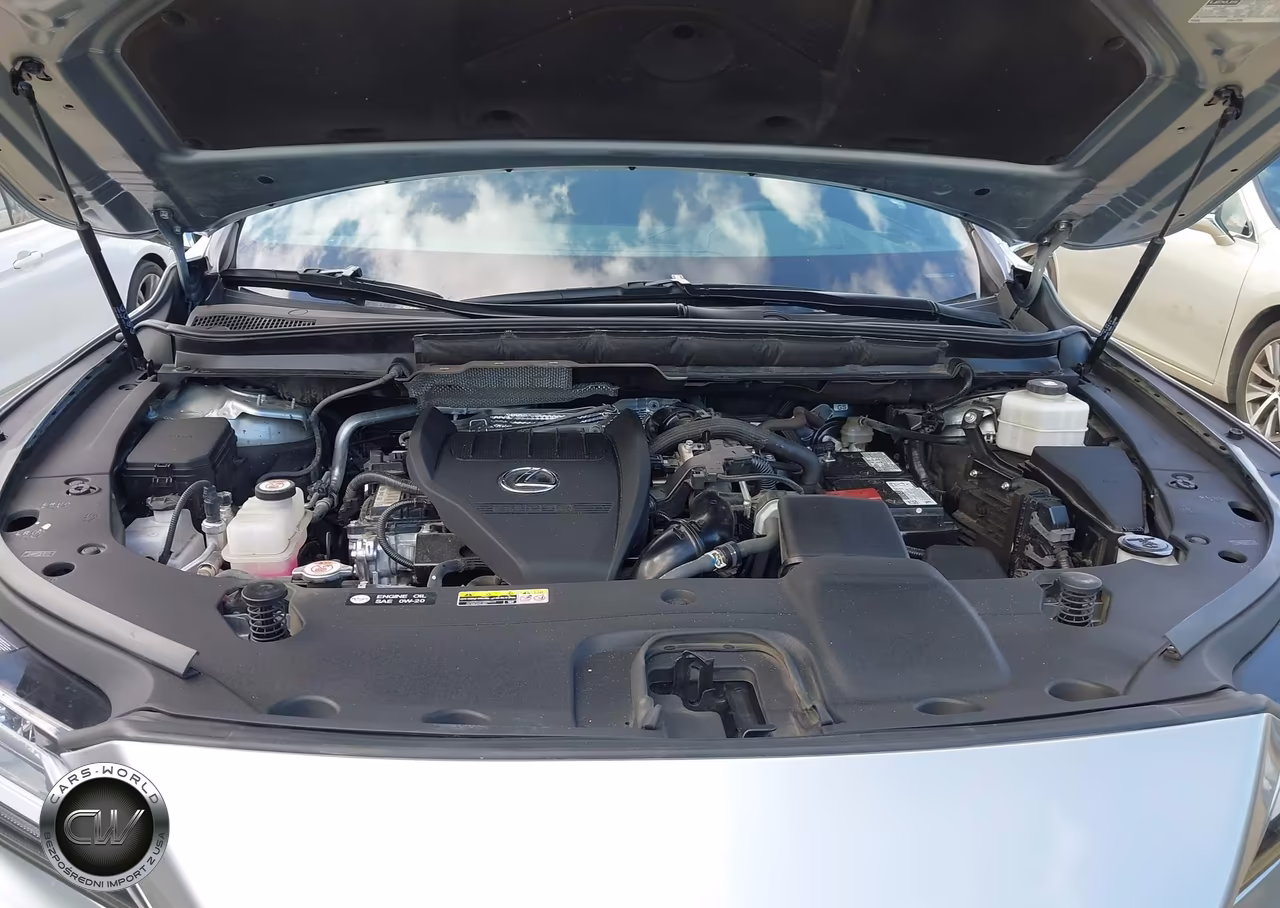 2023 Lexus Rx 350 Premium Plus VIN:2T2BAMBA6PC011518 - 10