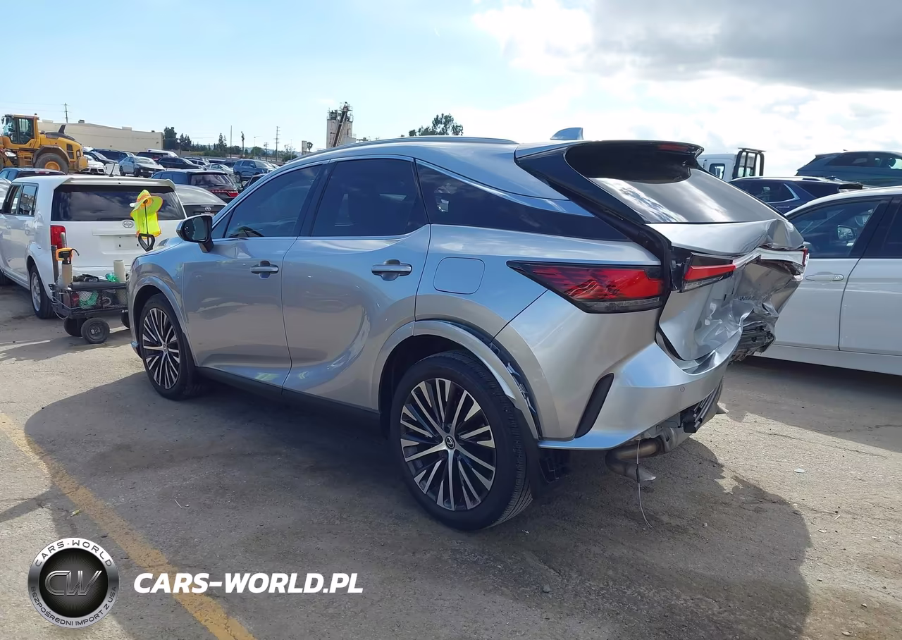 2023 Lexus Rx 350 Premium Plus VIN:2T2BAMBA6PC011518 - 3